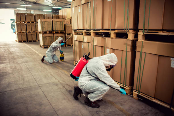 Best Mosquito Control Services  in Huxley, IA