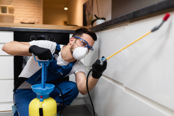 Reliable Huxley, IA Pest Control Solutions