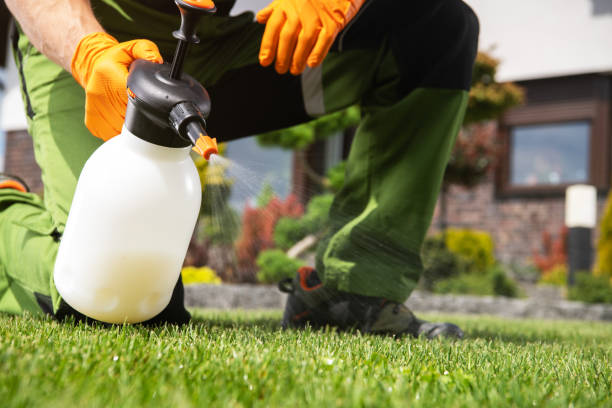 Best Pest Control for Businesses  in Huxley, IA