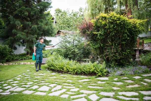 Best Best Pest Control Companies  in Huxley, IA