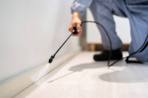 Best Pest Removal Services  in Huxley, IA