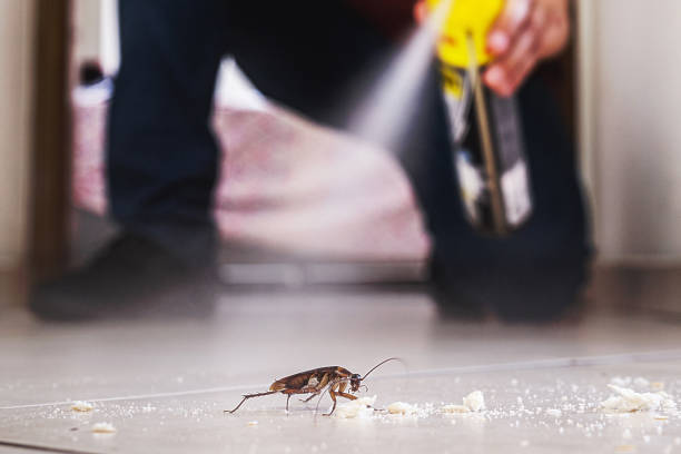 Best Affordable Pest Control Services  in Huxley, IA
