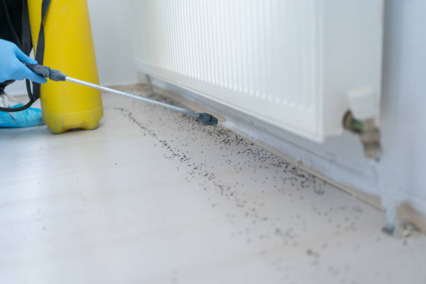 Best Pest Control Near Me  in Huxley, IA