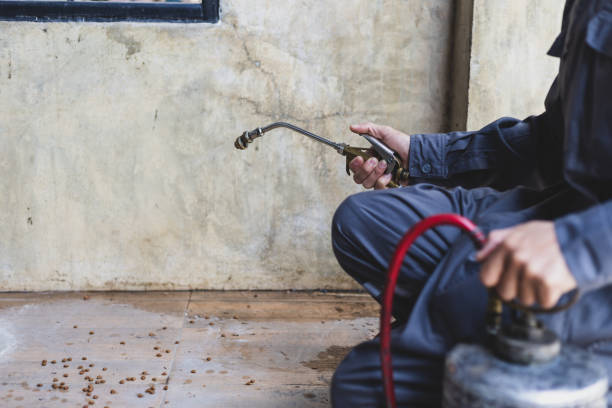 Best Pest Prevention Services  in Huxley, IA