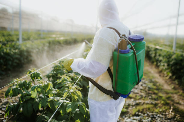 Best Affordable Pest Control Services  in Huxley, IA